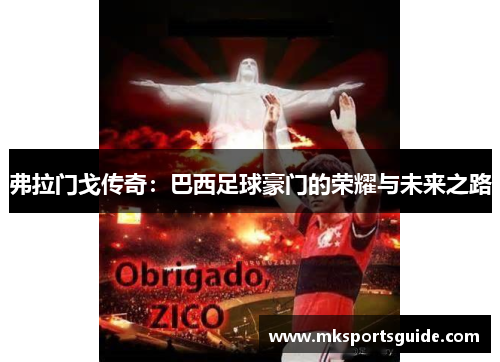 弗拉门戈传奇：巴西足球豪门的荣耀与未来之路